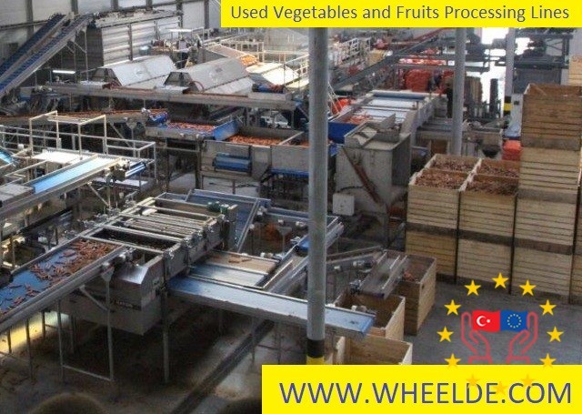used-vegetables-and-fruits-processing-lines-fruit-big-0